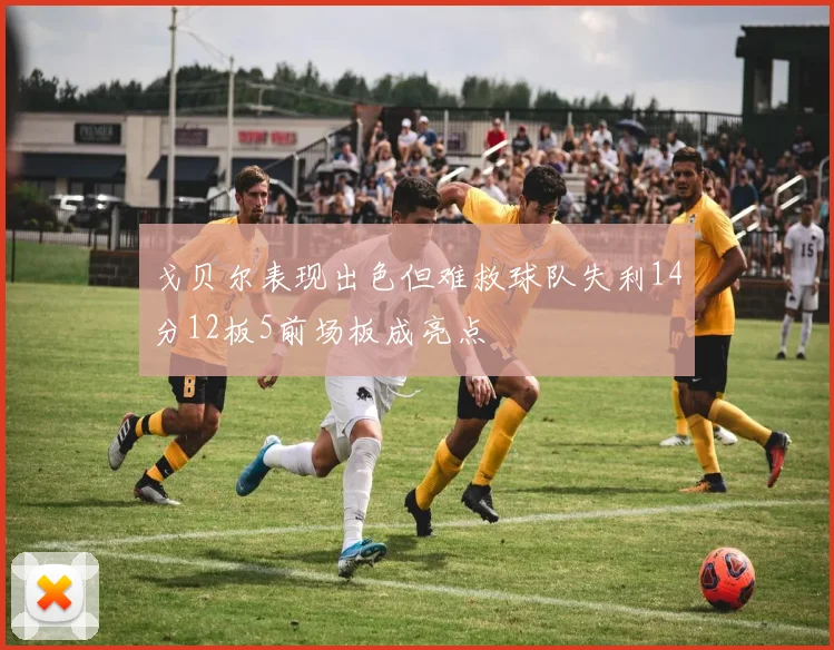 戈贝尔表现出色但难救球队失利14分12板5前场板成亮点