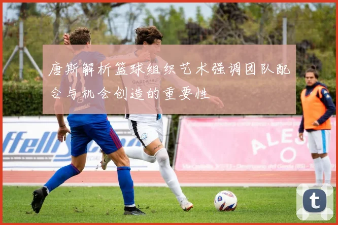 唐斯解析篮球组织艺术强调团队配合与机会创造的重要性